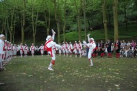 Tolosa Bordon-dantza 2008 Aurreskua 512