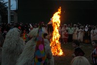 Zalduondo inauteriak 2009 146