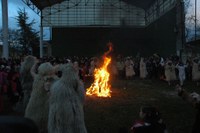 Zalduondo inauteriak 2009 153