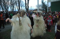 Zalduondo inauteriak 2009 160