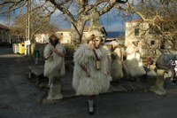 Zalduondo inauteriak 2009 041