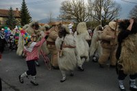 Zalduondo inauteriak 2009 051