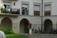 Zarautz - San Pelayo - Oilasko biltzea 2008 203