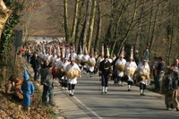 Zubieta-Ituren inauteriak 2008 IZ 155