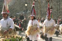 Zubieta-Ituren inauteriak 2008 IZ 089