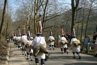 Zubieta-Ituren inauteriak 2008 IZ 091