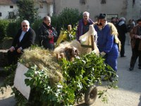 Zubieta-Ituren inauteriak 2008 OA 026