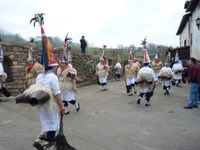 2011-01-31_Zubieta-Ituren-Joaldunak-eta-mozorroak-JI471
