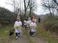 2011-01-31_Zubieta-Ituren-Joaldunak-eta-mozorroak-JI490