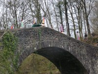 2011-01-31_Zubieta-Ituren-Joaldunak-eta-mozorroak-JI492