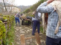 2011-01-31_Zubieta-Ituren-Joaldunak-eta-mozorroak-JI497