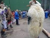 2011-01-31_Zubieta-Ituren-Joaldunak-eta-mozorroak-JI532