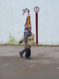 2011-01-31_Zubieta-Ituren-Joaldunak-eta-mozorroak-JI382