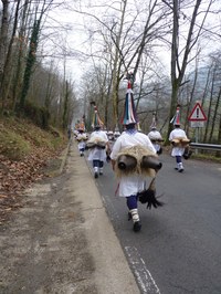 2011-01-31_Zubieta-Ituren-Joaldunak-eta-mozorroak-JI419