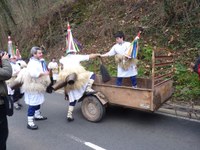 2011-01-31_Zubieta-Ituren-Joaldunak-eta-mozorroak-JI425