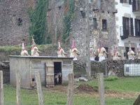 2011-01-31_Zubieta-Ituren-Joaldunak-eta-mozorroak-JI432