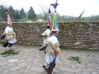 2011-01-31_Zubieta-Ituren-Joaldunak-eta-mozorroak-JI448