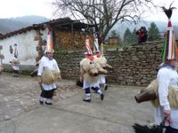 2011-01-31_Zubieta-Ituren-Joaldunak-eta-mozorroak-JI470