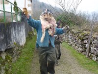 2011-01-31_Zubieta-Ituren-Joaldunak-eta-mozorroak-JI498
