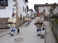 2011-01-31_Zubieta-Ituren-Joaldunak-eta-mozorroak-JI513