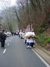 2011-01-31_Zubieta-Ituren-Joaldunak-eta-mozorroak-JI424