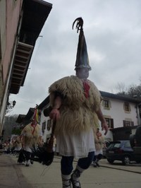 2011-01-31_Zubieta-Ituren-Joaldunak-eta-mozorroak-JI512