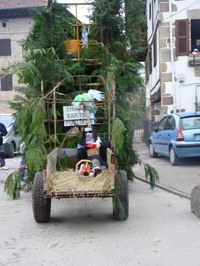 2011-01-31_Zubieta-Ituren-Joaldunak-eta-mozorroak-JI567