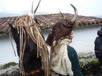 2011-01-31_Zubieta-Ituren-Joaldunak-eta-mozorroak-JI499