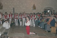 Zumarraga Antio ezpata-dantza 2008 9576