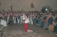 Zumarraga Antio ezpata-dantza 2008 9577