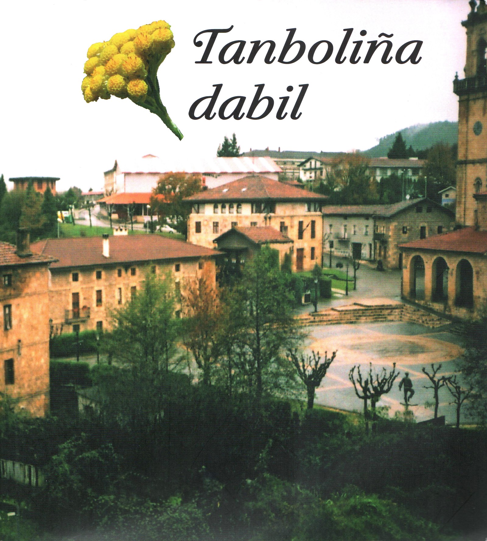 Tanboliña dabil