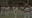 14-IKE01-002-01_12