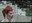 Ball de Sant Ferriol 1973