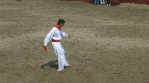 Deba: San Roke aurreskua 2008 - 03