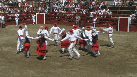 Deba: San Roke aurreskua 2008