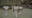 22-IKE01-002-01_06