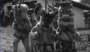 Ahuntz adarra 1972