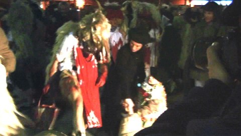 Altsasu: Inauteriak 2008