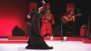 Choni konpainia flamenkoa: Tejidos al tiempo