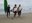 Dancing in the Basque Country - Coming soon