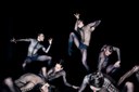 Dresden Frankfurt Dance konpainia: The primate trilogy