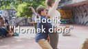  Haatik: Hormek diote