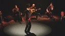 Jesus Herrera: Dantzari, aurresku flamenkoa
