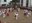 Lastur: soka-dantza 2006 09