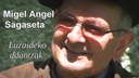 Migel Angel Sagaseta: Luzaideko dantzak