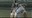 Provisional Danza - Carmen Werner: Por favor no me entienda mal 02