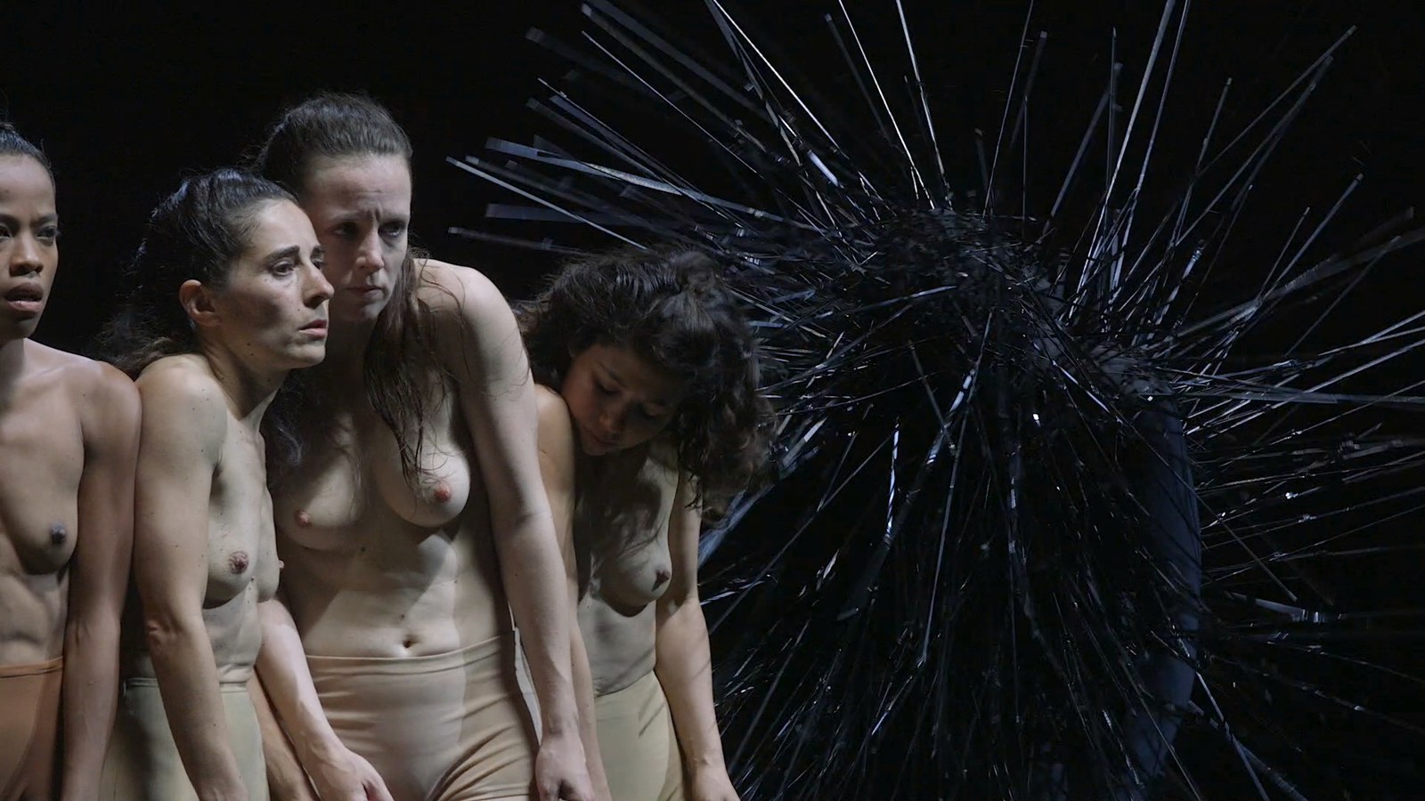 Sasha Waltz: Kreatur