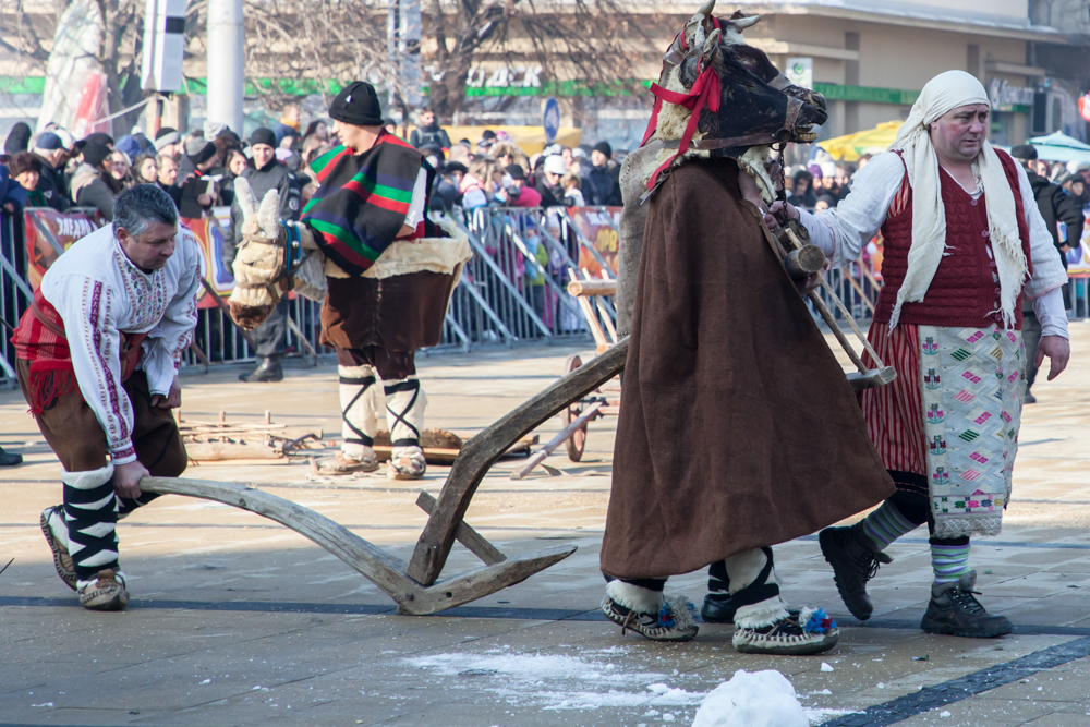txtK170129_BULGARIA_JPG_PERNIK_SURVA_IMG_5896_IZ.JPG