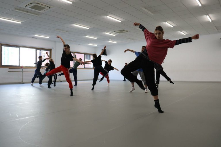 Lan-deialdia: Gipuzkoako Dantzaguneko komunikazio-arduraduna