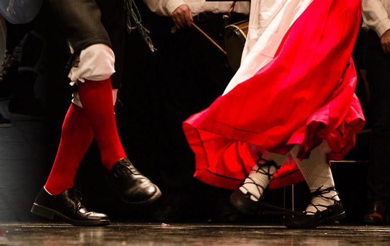 Zangozako dantzarien topaketa